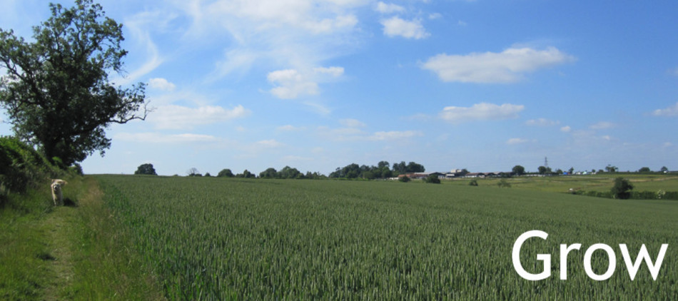 Image slider image representing Growth Image slider image representing Growth